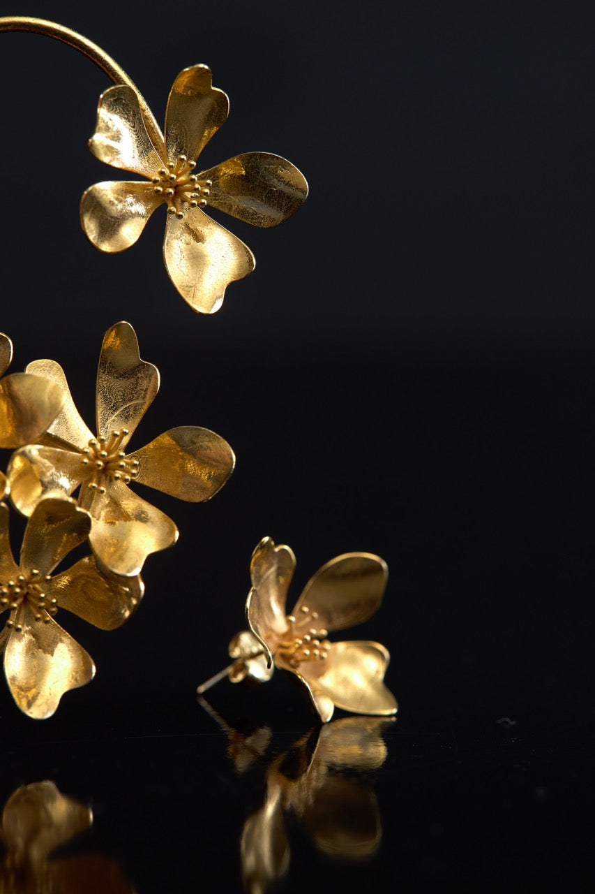 EARCUFF CEREJEIRA - DIREITO