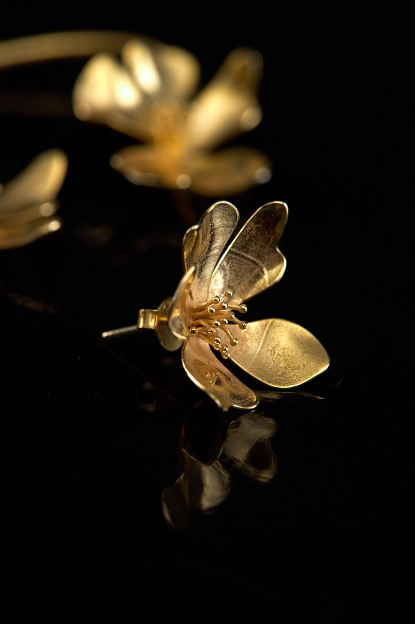 EARCUFF CEREJEIRA - DIREITO