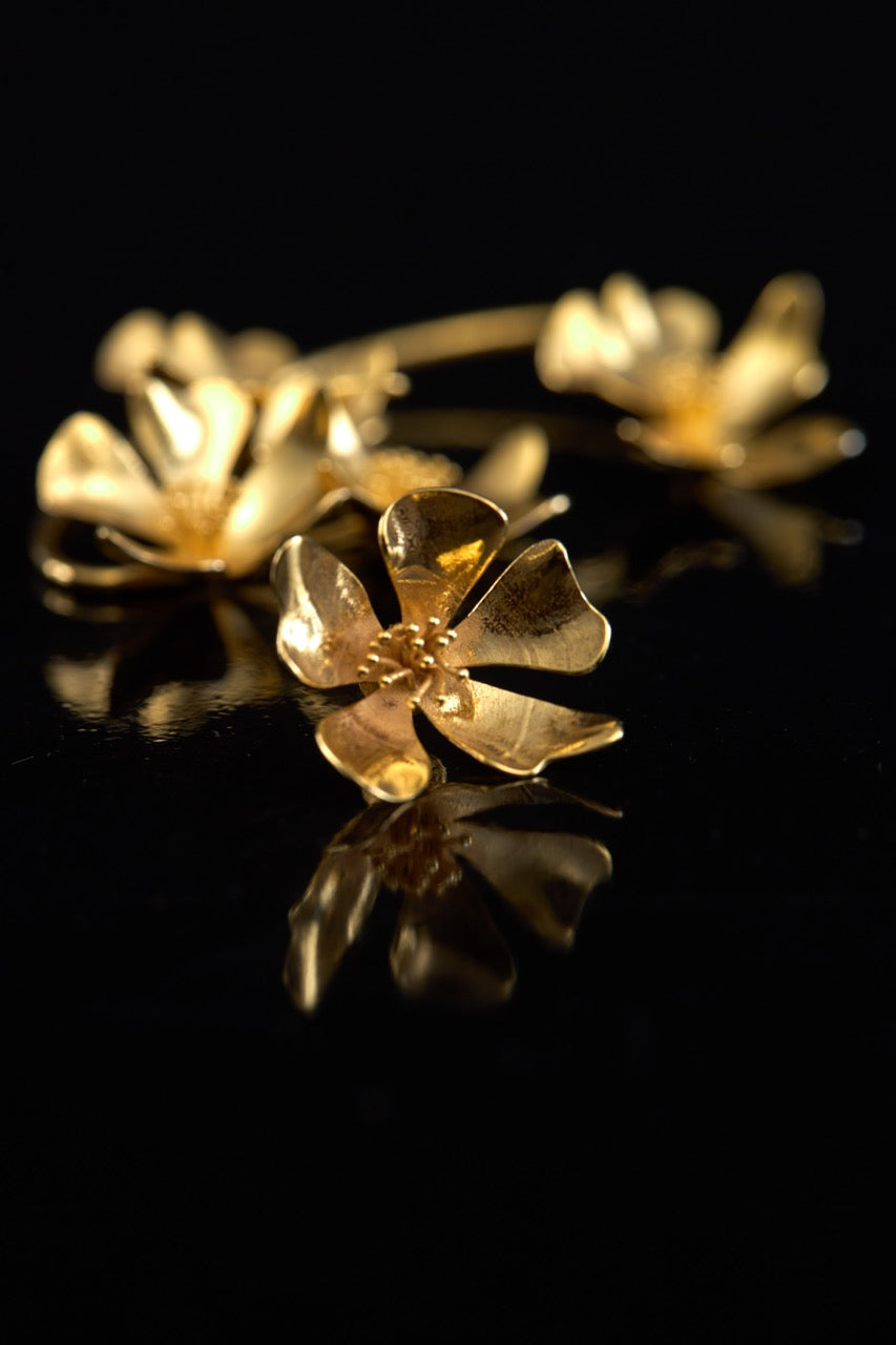 EARCUFF CEREJEIRA - DIREITO