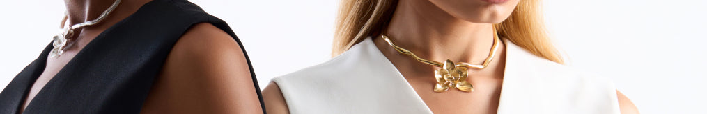 collection-banner-image