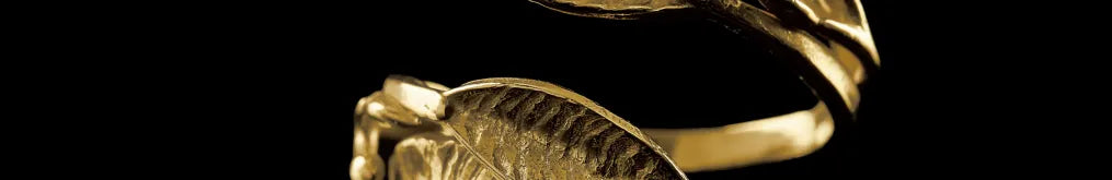 collection-banner-image