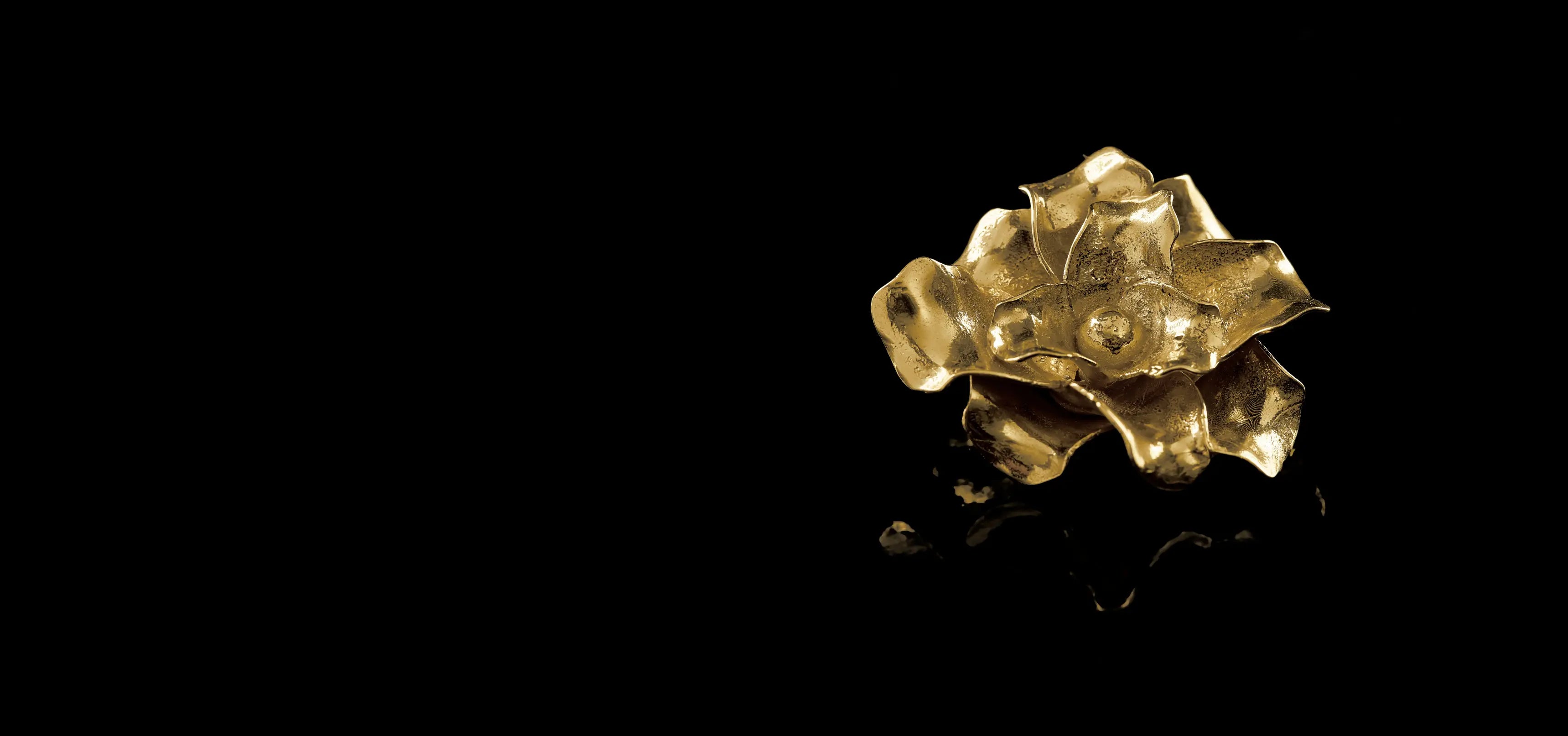 collection-banner-image