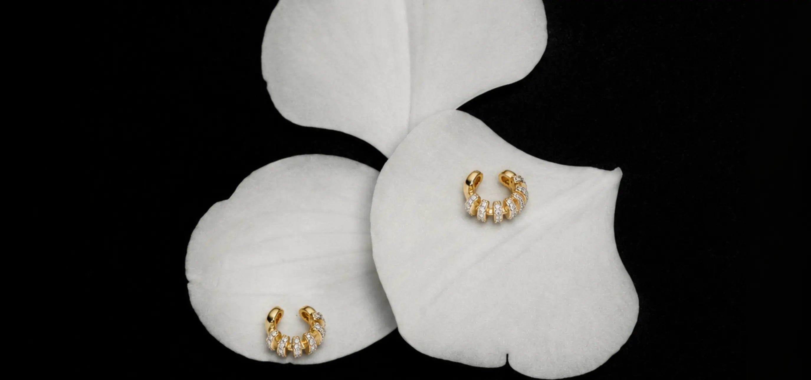 collection-banner-image
