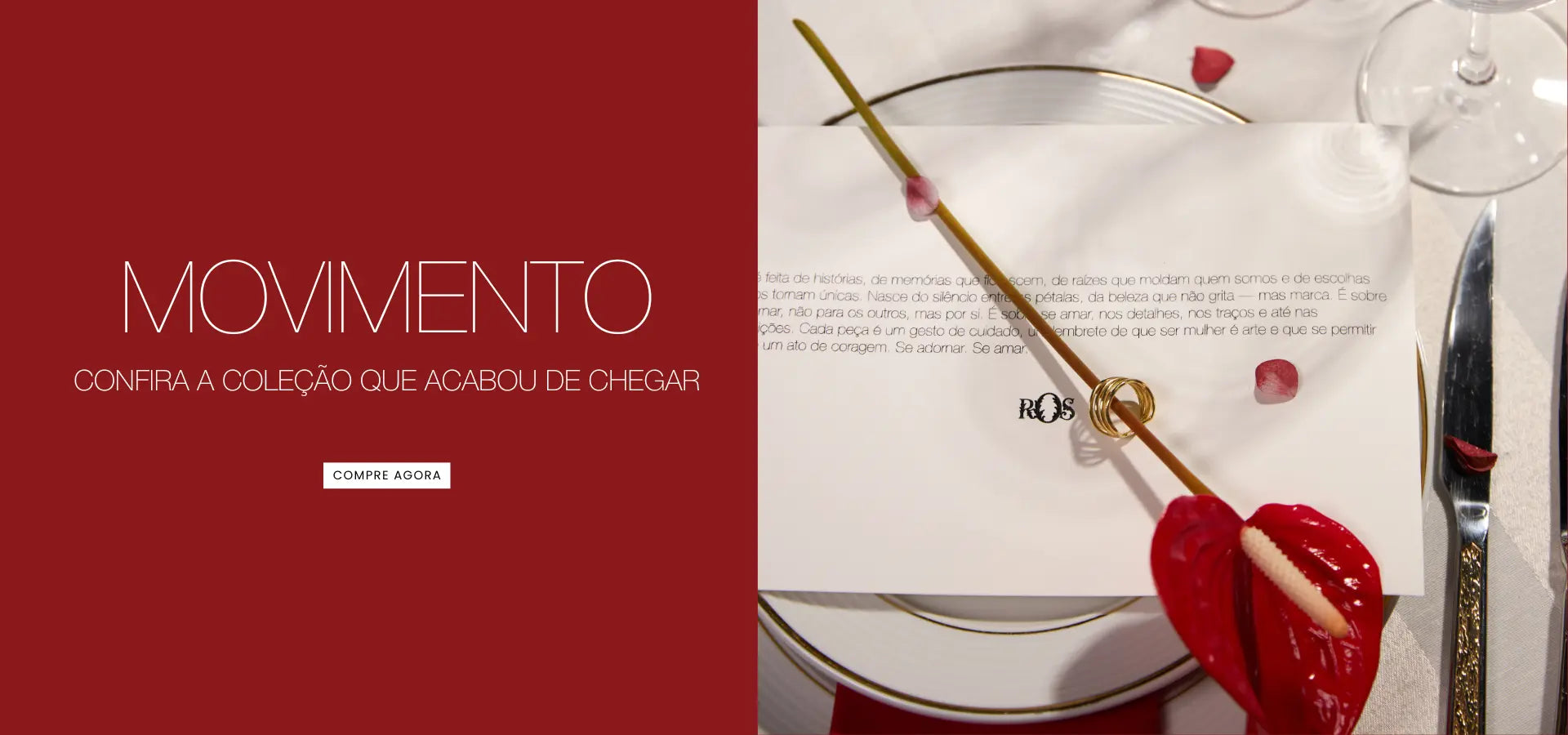 collection-banner-image